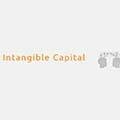 Intangible Capital 