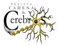 Primer Informe General de Revista Cadena de Cerebros: Periodo 2016-2017 