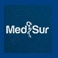 Aproximación cienciométrica a la producción científica de MediSur 