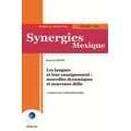 Synergies Mexique 