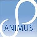 Animus. Revista Interamericana de Comunicação Midiática 