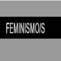 Feminismo/s 