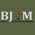 Lactate in veterinary medicine - Conceptual update 
