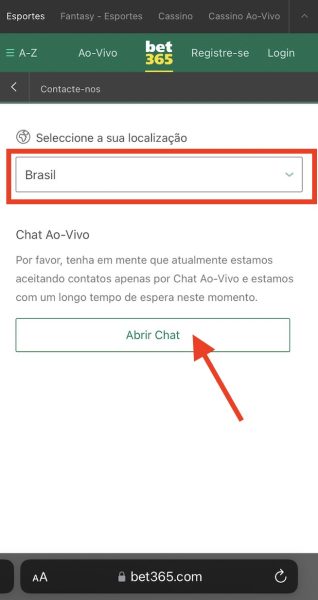 Chat bet365: como ser atendido rápido na Bet365