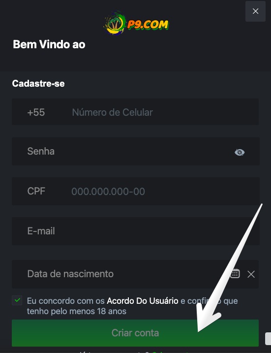 Como Fazer o Registro na P9 passo 4