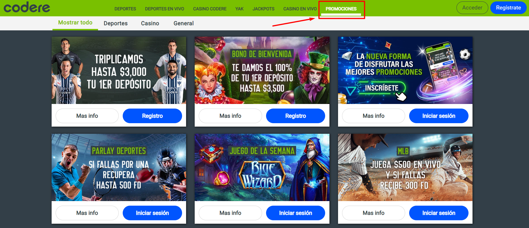 Se muestra la sección de PROMOCIONES