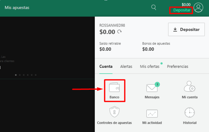 se muestra la opción de Banco bet365